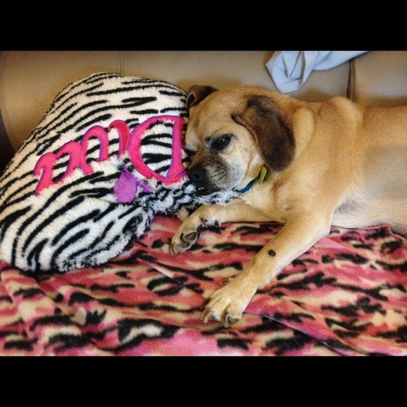 Meet your Posher, Mary - Picture 4 of 5